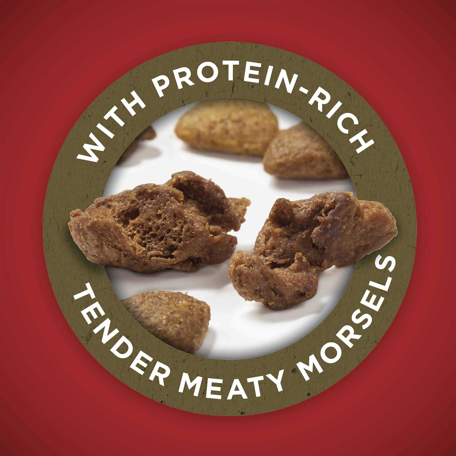 Dry Dog Food Lamb and Rice Formula Q85966