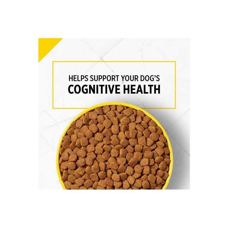 Adult 7+ Chicken & Rice Dry Dog Food F589736