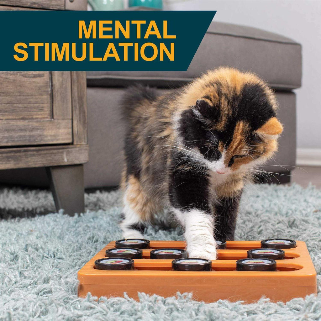 Interactive Puzzle Game Dog Toys for Cats and Dogs Z513667