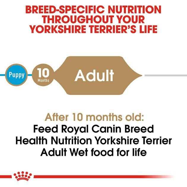 Yorkshire Terrier Adult Loaf in Sauce Dog Food S430