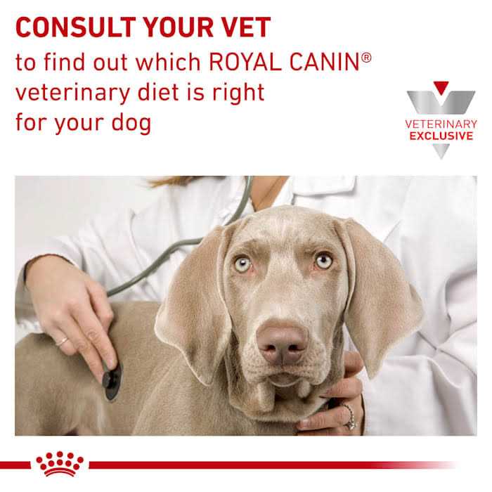Selected Protein PD Dog Food B953