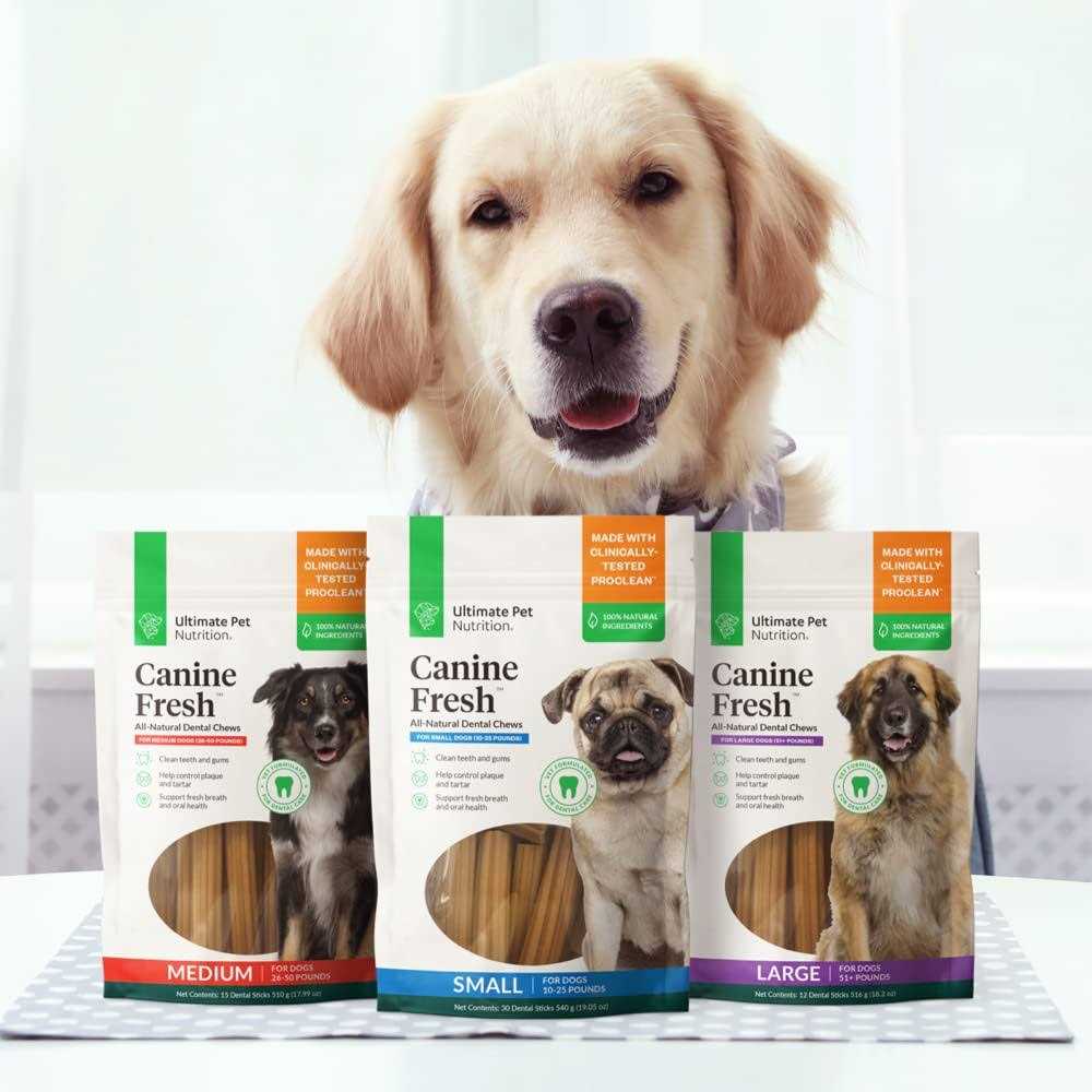 Dental Chews Sticks for Dogs X6833