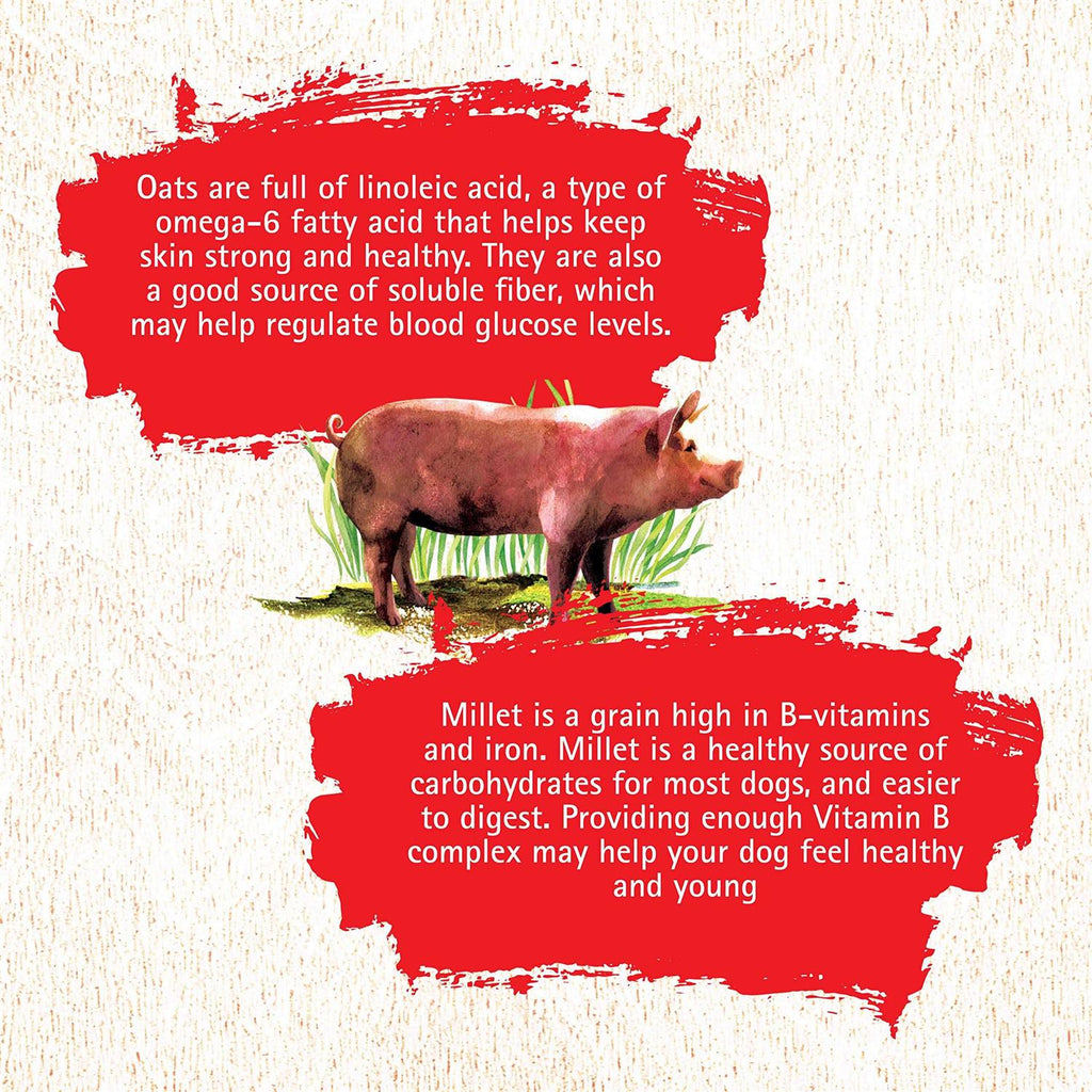 Pork Recipe Dog Food E84071