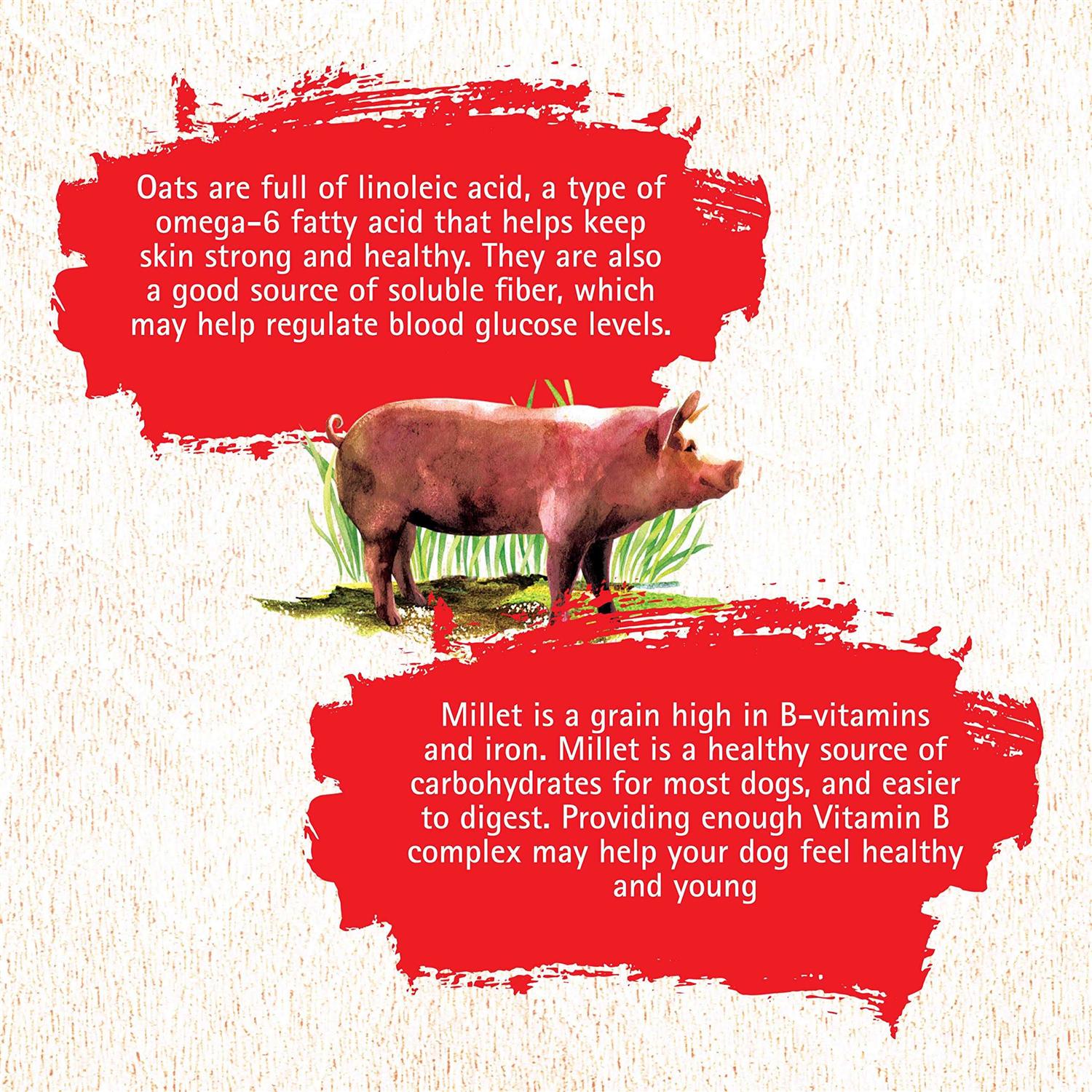 Pork Recipe Dog Food E84071
