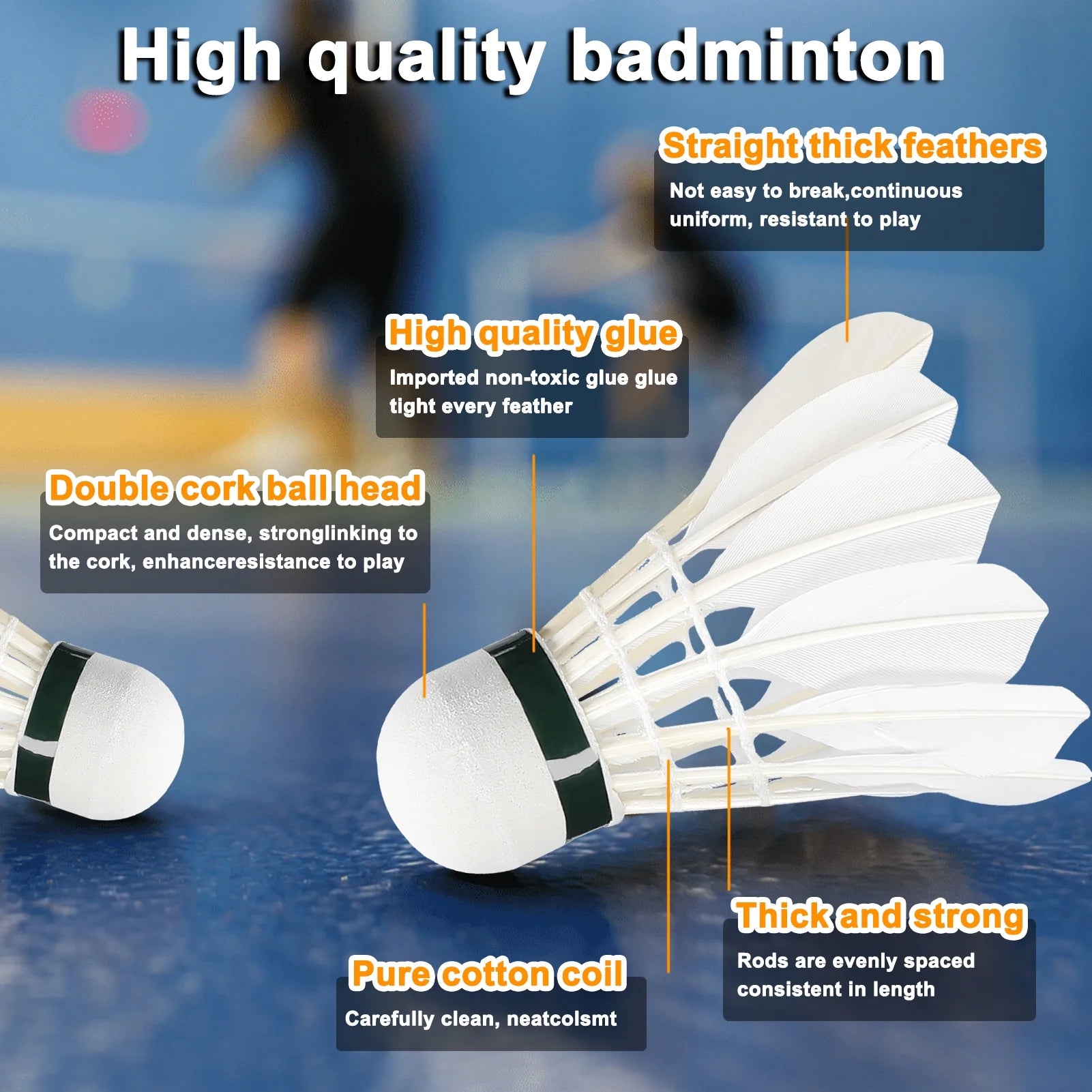 Badminton Racquet Set for 2 Players, Lightweight Y879331