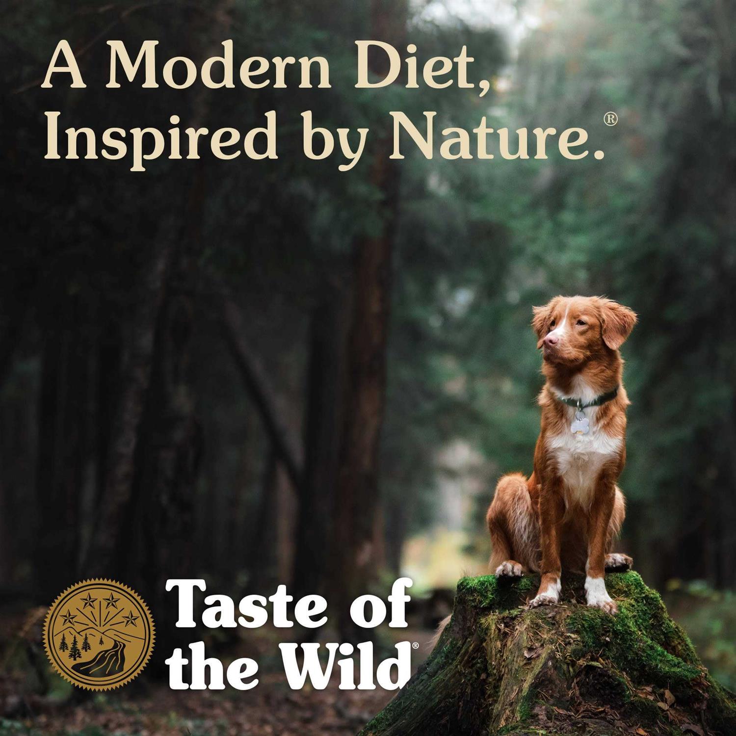 Smoked Salmon Dog Food S892833