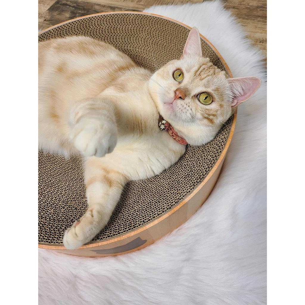Cozy Cat Scratcher Bowl B143651