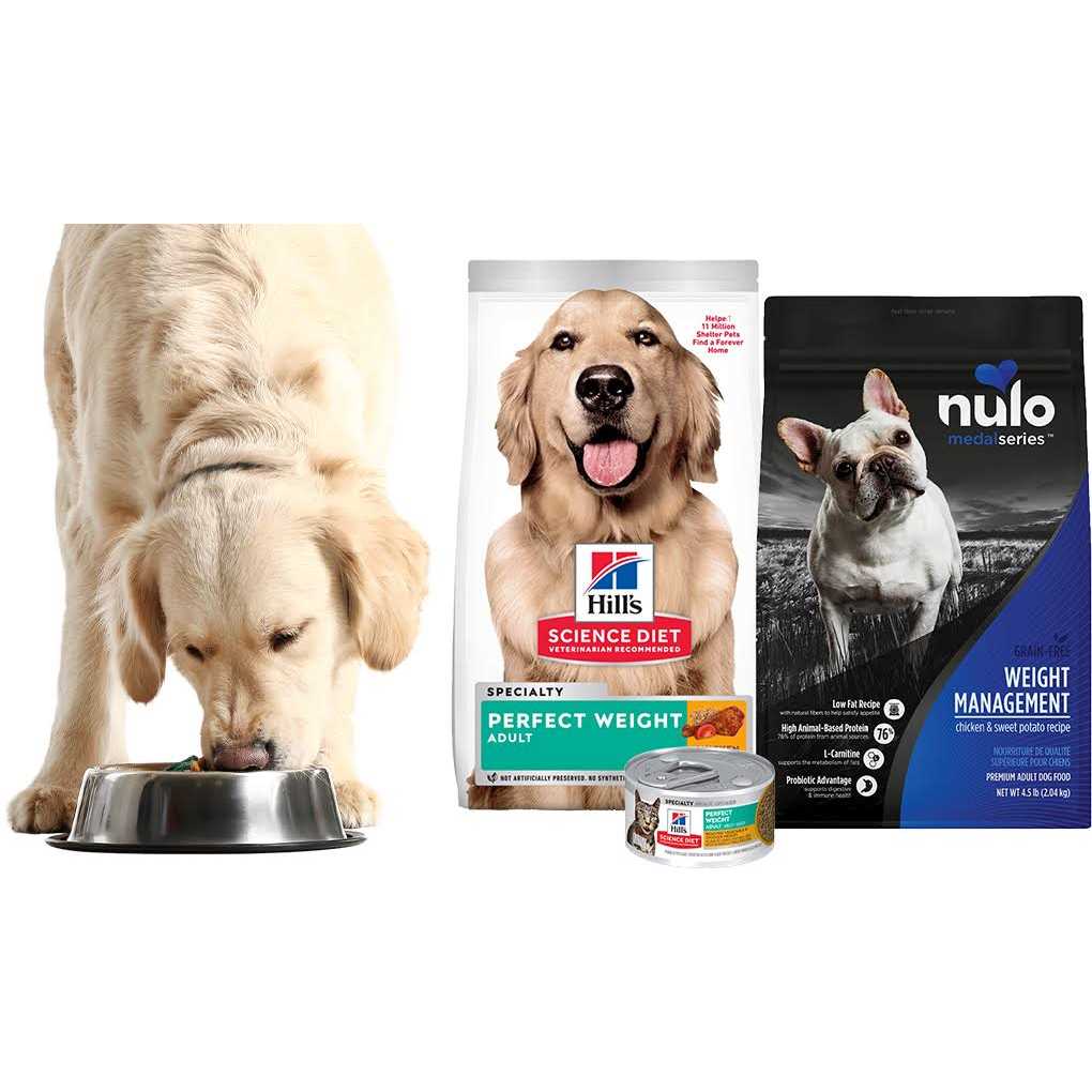 Sensitive Skin & Stomach Salmon Dry Dog Food, 34 lb B756265