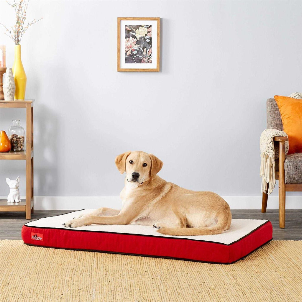 Waterproof Memory Foam Pet Bed Y3193