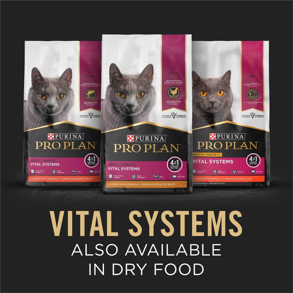 Wet Cat Food in Gravy S362