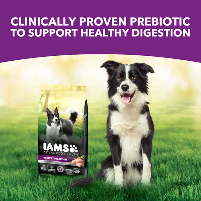 Adult Dry Dog Food with Real Chicken for Healthy Digestion Q9534