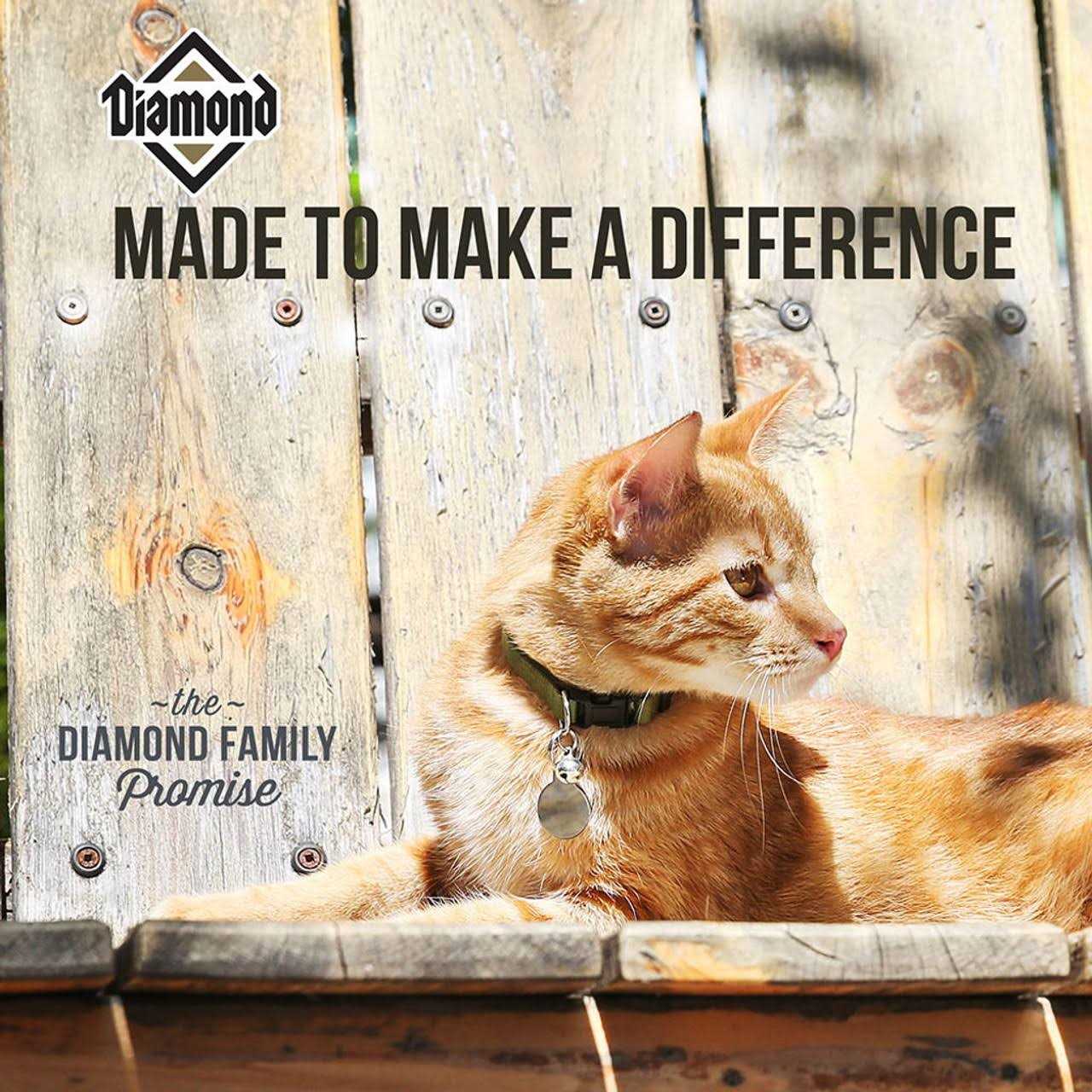 Dry Cat Food Z399