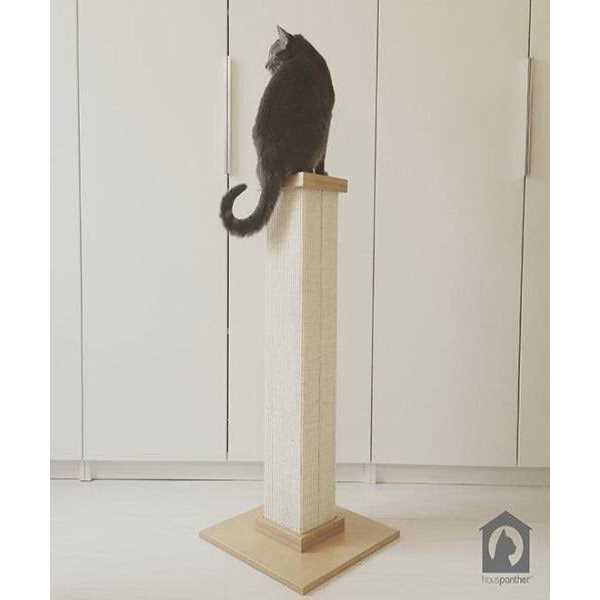 Cat Scratching Post G280759