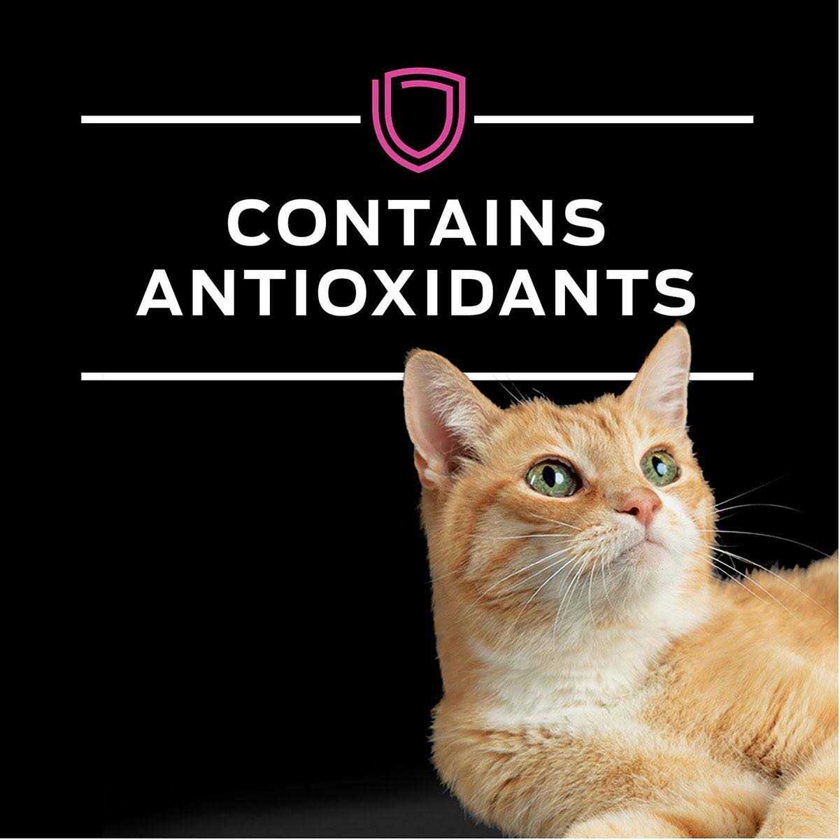 Urinary Care Wet Cat Food in Sauce V88969