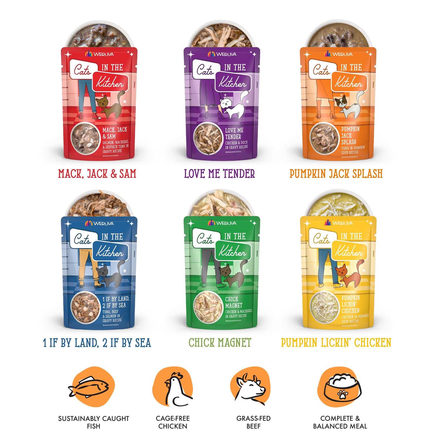 Cat Food Variety Pack Pouch B4873