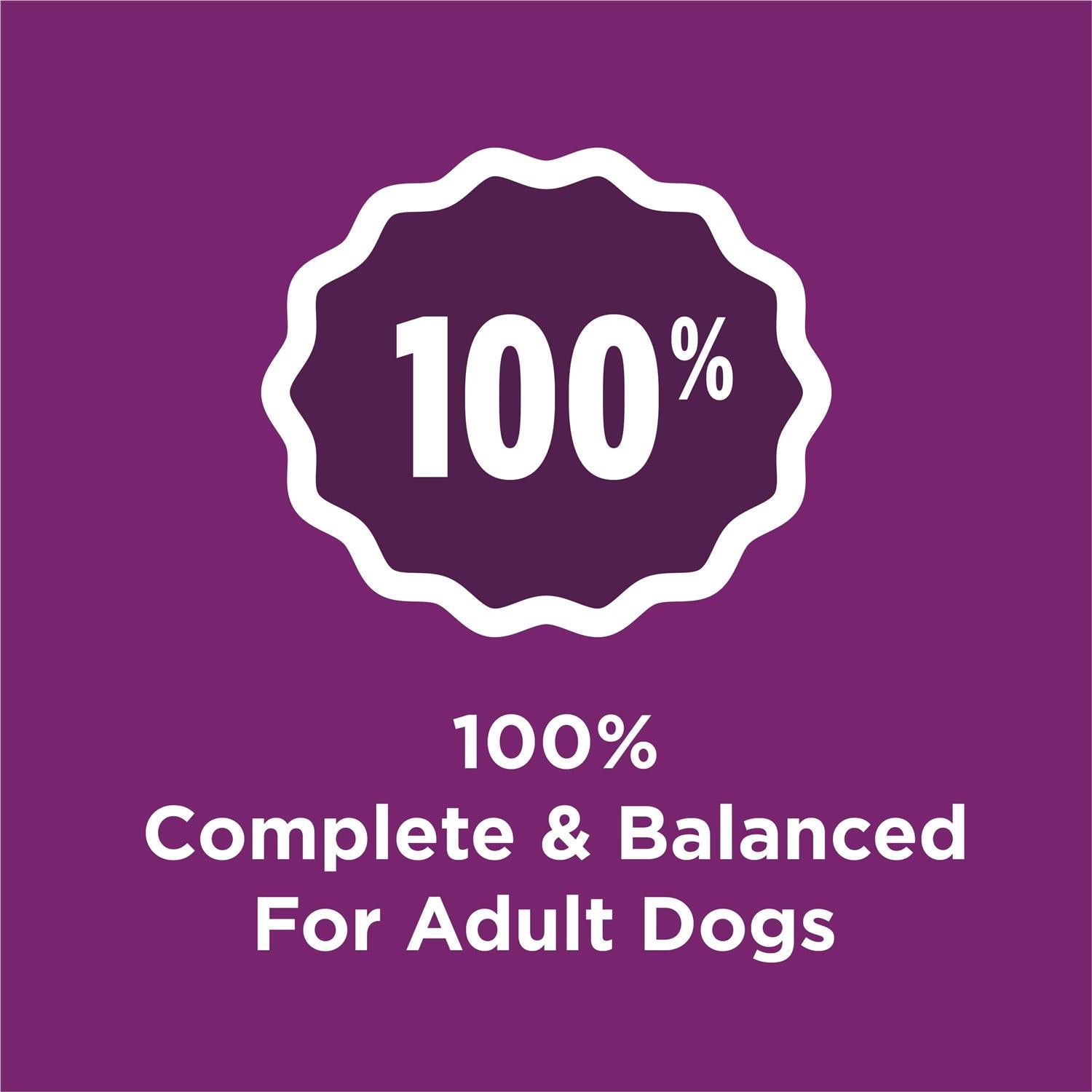 Adult Dry Dog Food B245