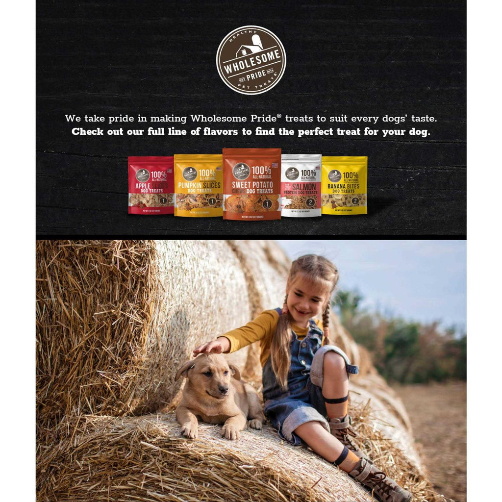 Apple Slices Dog Treats I1483