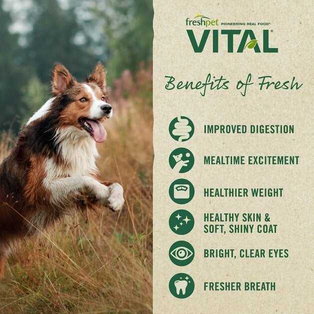Grain-Free Chicken Small Breed Dog Food U936