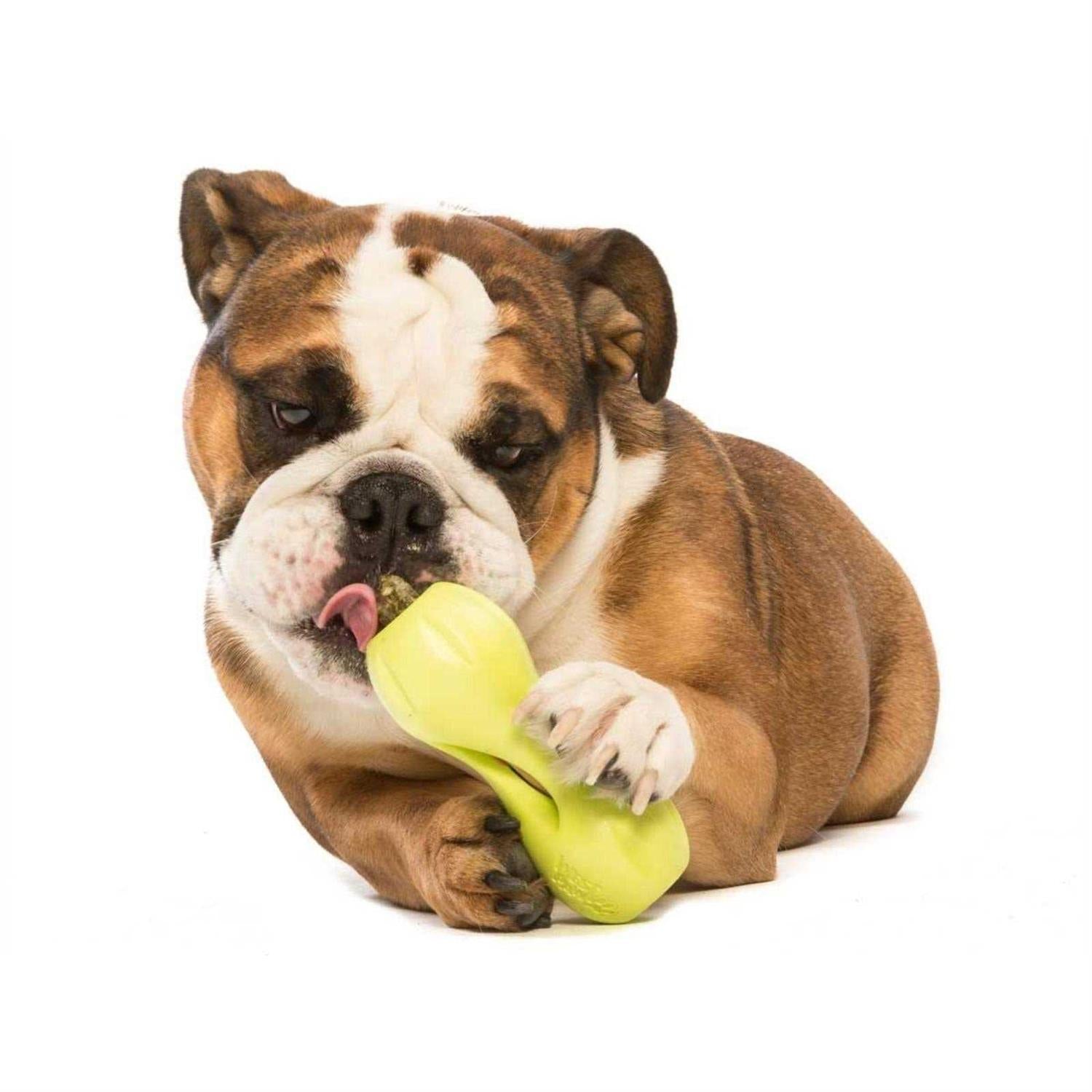 Dog Toy V8531