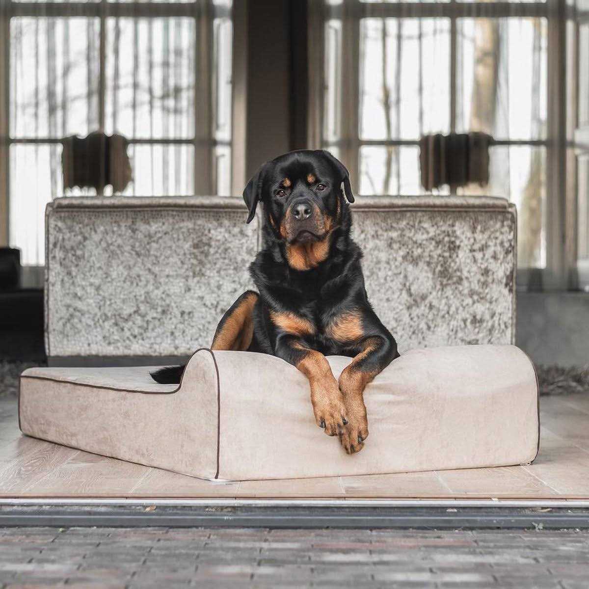 Orthopedic Waterproof Dog Bed T62311