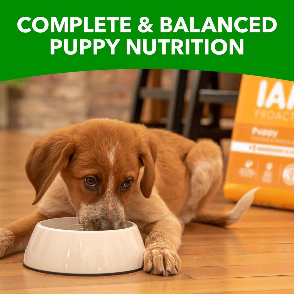 Smart Puppy Dry Dog Food U644