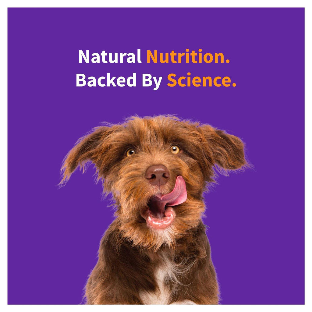 Free Red Meat Recipe Dry Dog Food F907