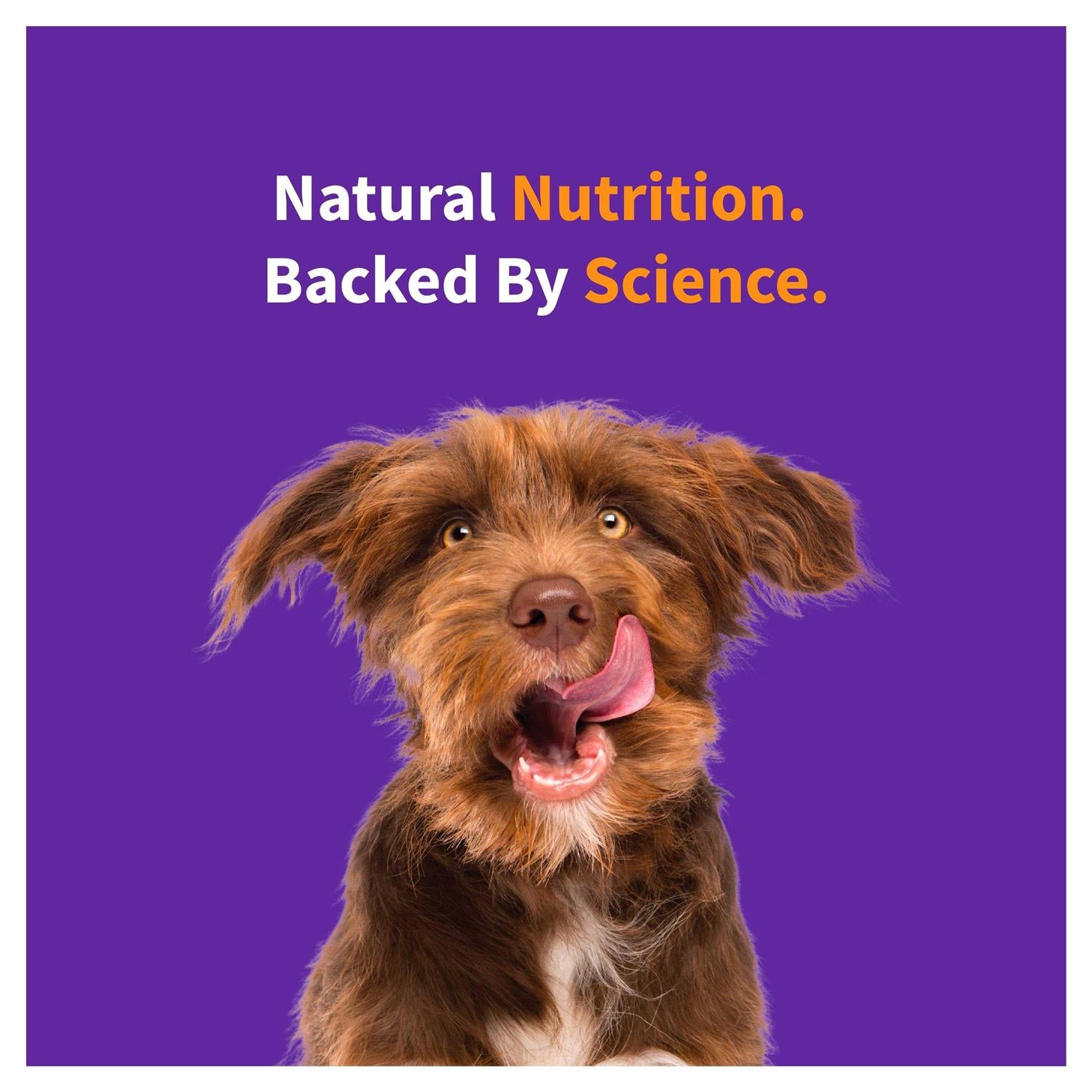 Free Red Meat Recipe Dry Dog Food F907