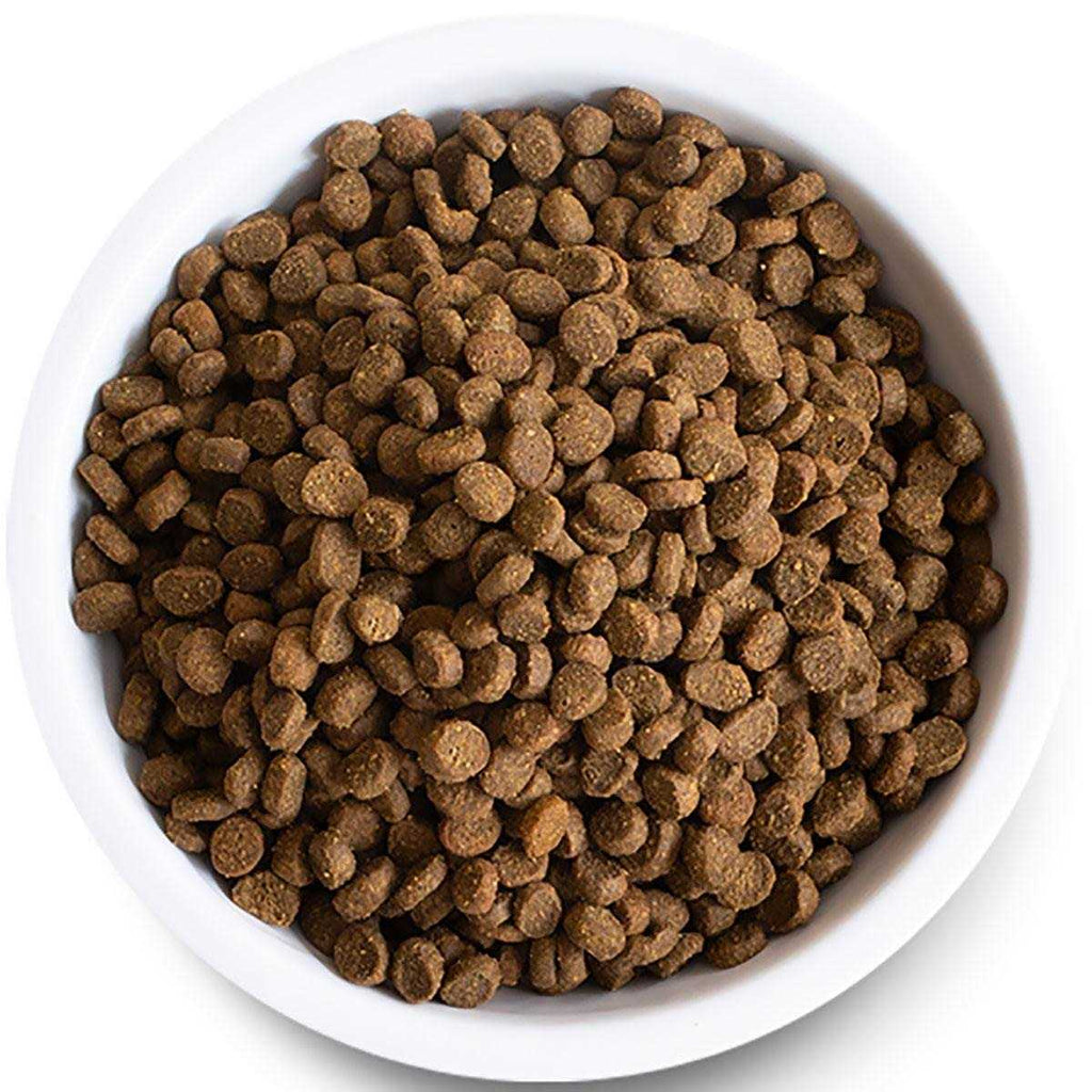 Grain-Free Dry Cat Food with Wild-Caught Salmon T987191