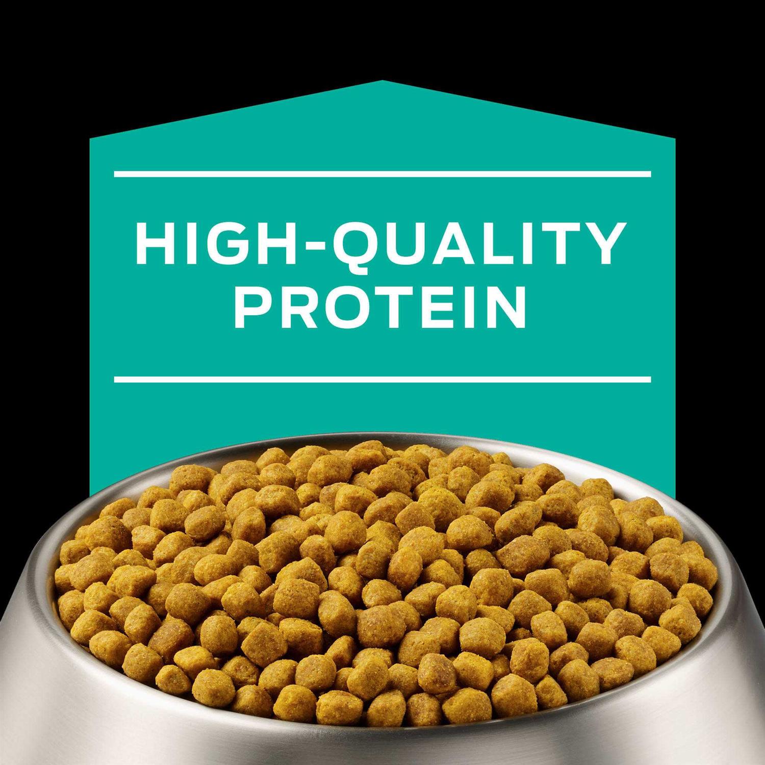 Gastroenteric Formula Dry Dog Food G92453