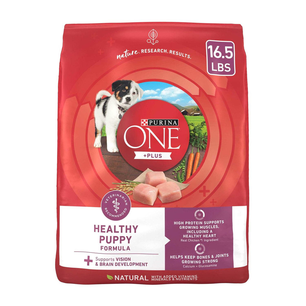 Purina ONE Healthy Puppy Formula Dry Food - Pet Supplies online store