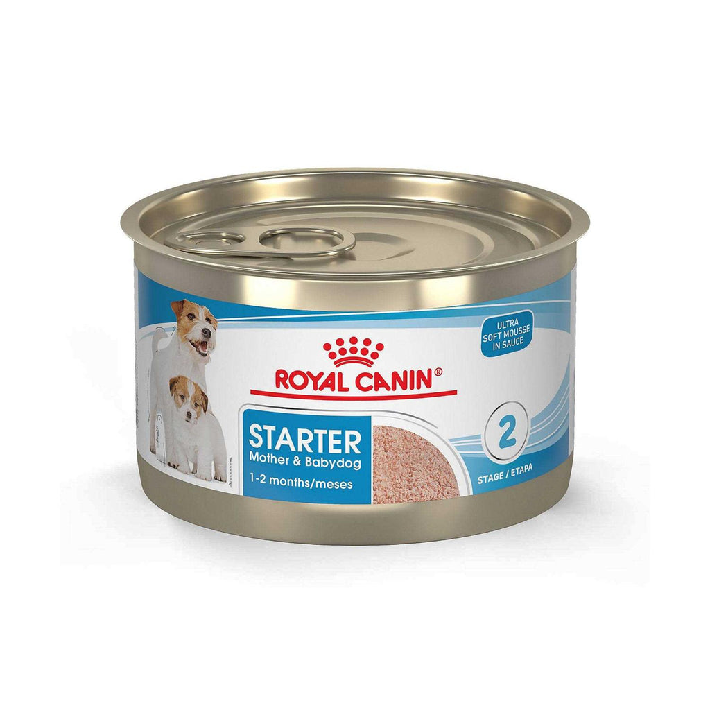 Royal Canin Starter Mousse in Sauce Mother &amp; Babydog Dog Food - Pet Supplies online store