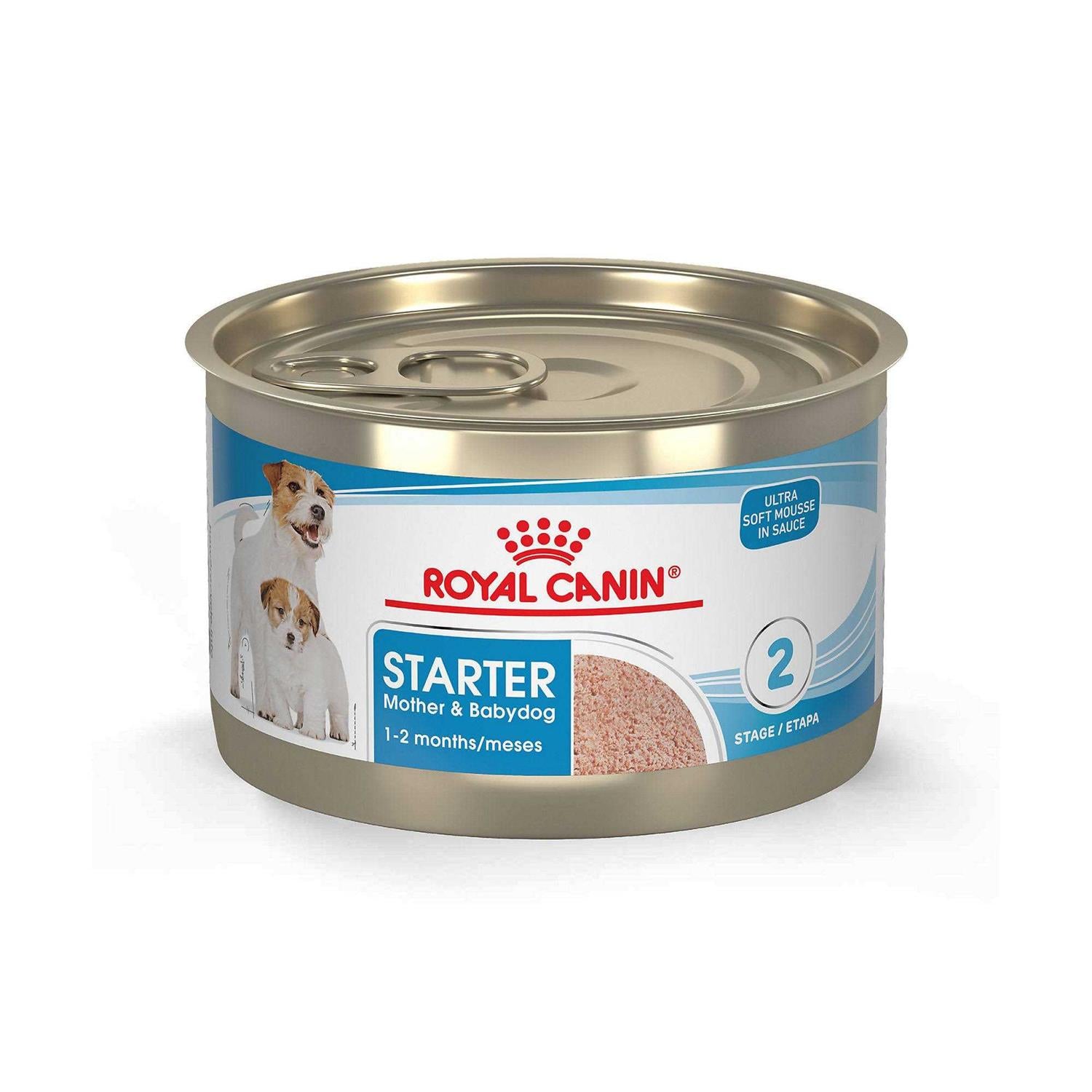 Royal Canin Starter Mousse in Sauce Mother &amp; Babydog Dog Food - Pet Supplies online store