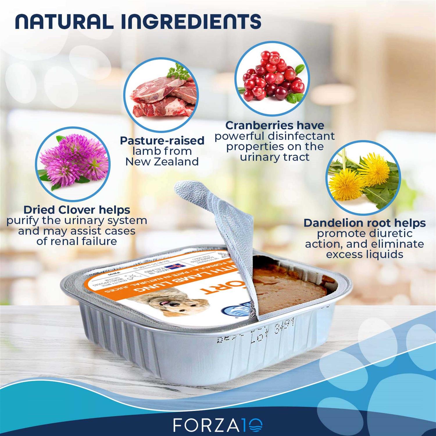 Renal Support Wet Dog Food Z8336