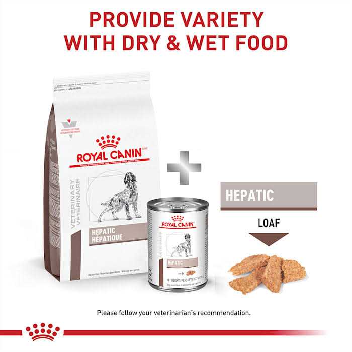 Hepatic Dry Dog Food I2991