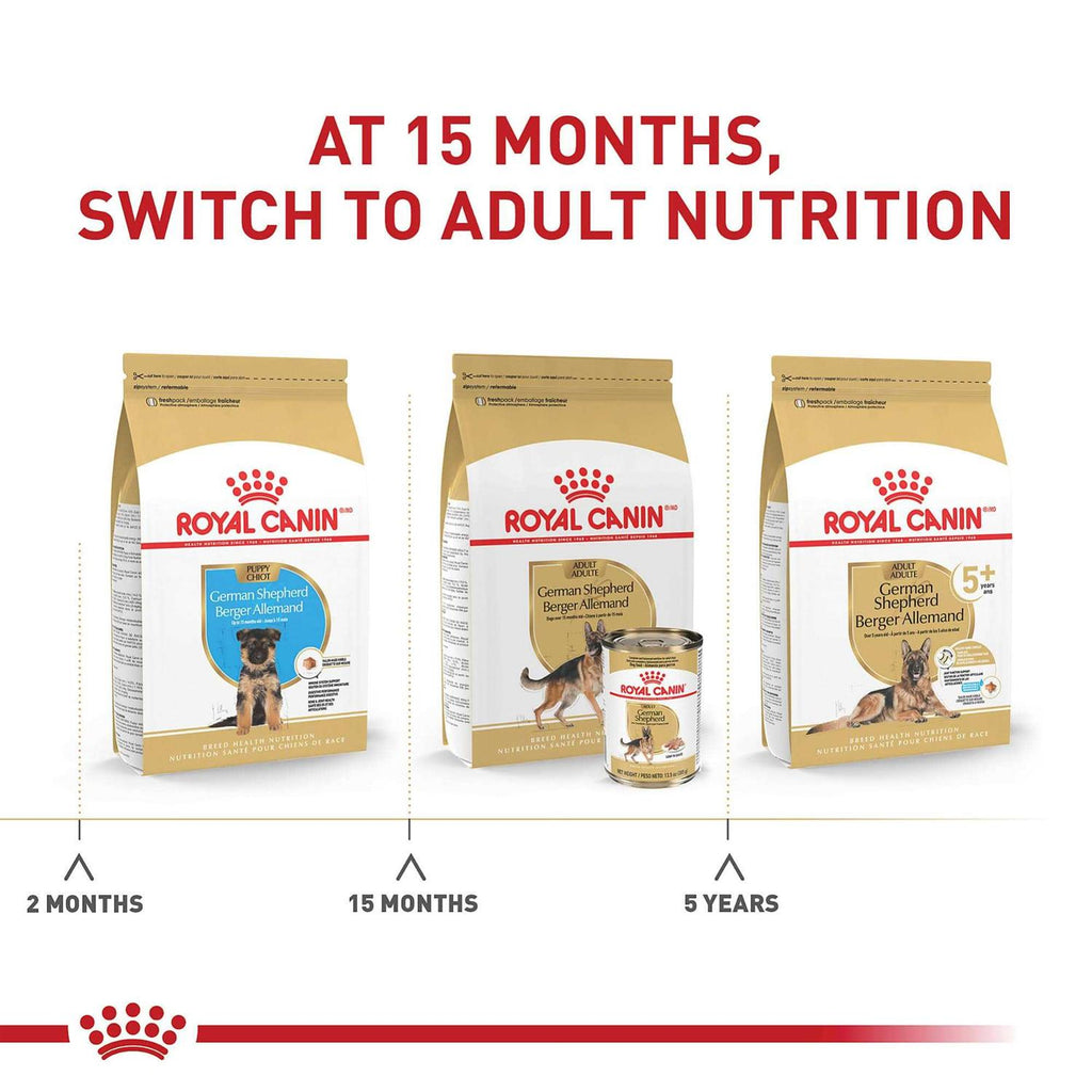 German Shepherd Puppy Dry Dog Food S809322