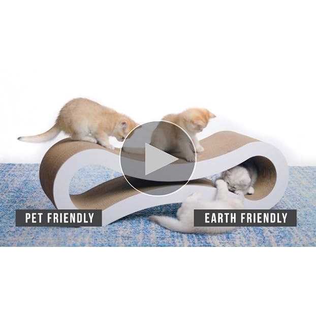 Cat Scratcher Lounge W924