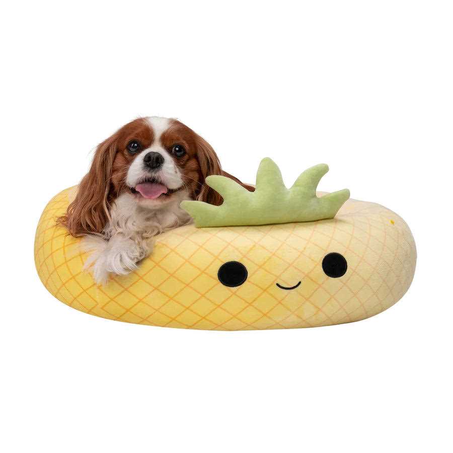 Pineapple Pet Bed Y65745