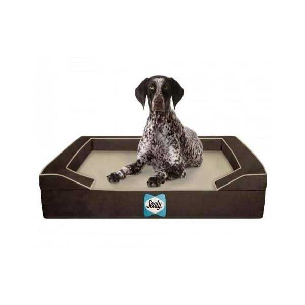 Orthopedic Memory Foam Dog Bed C1966