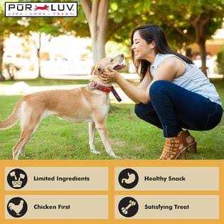 Chicken Jerky Dog Treats X310