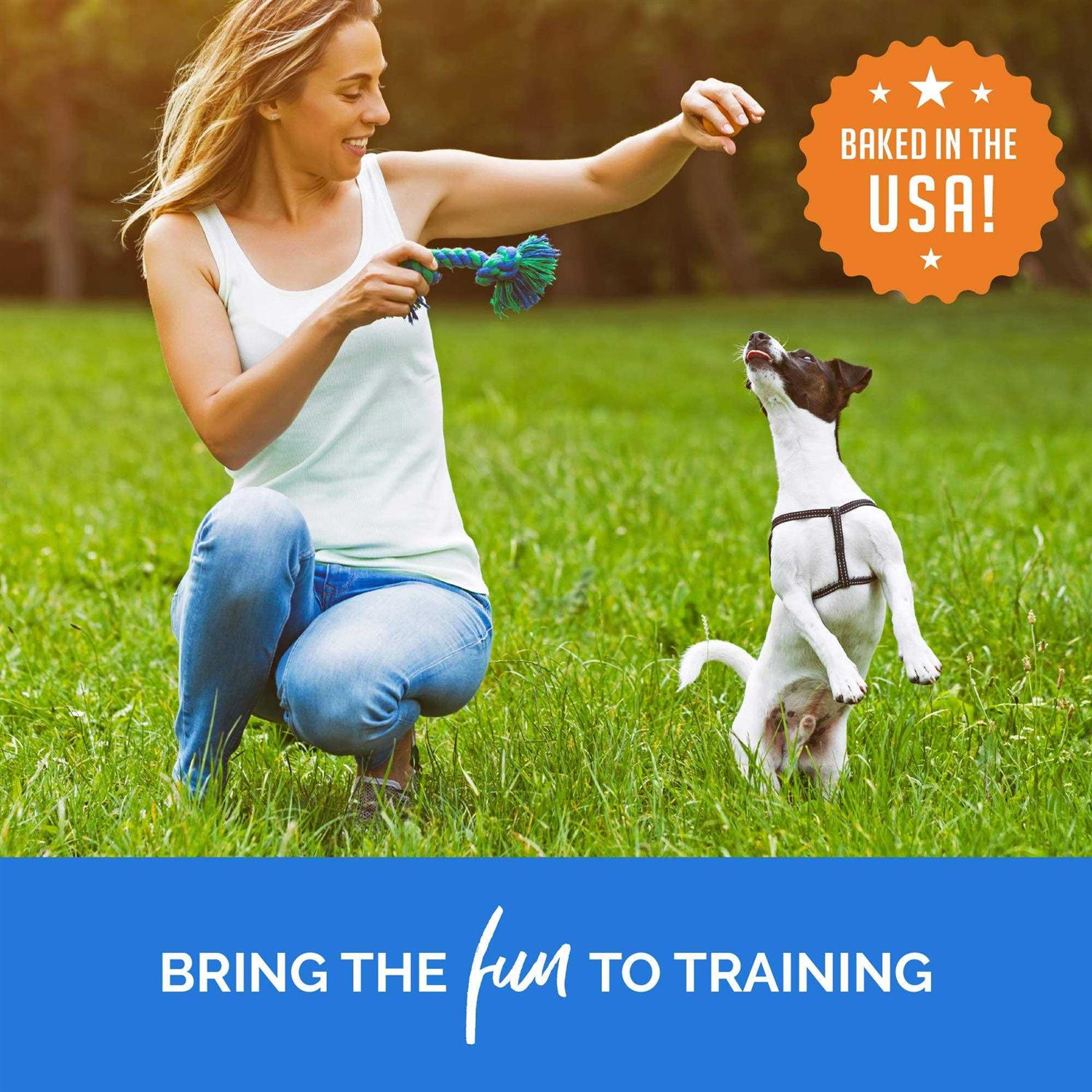 Training Bites Dog Treats Z8637