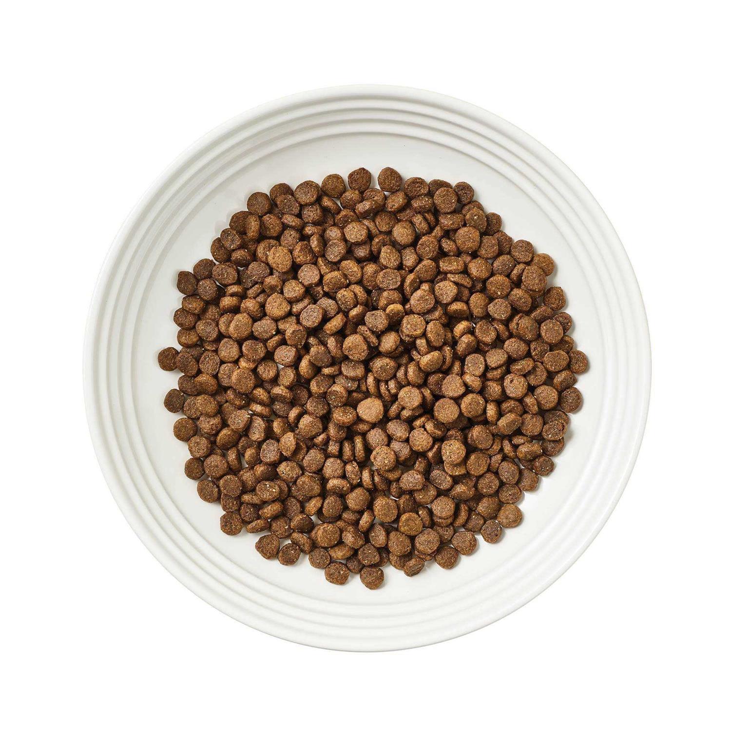 Grain-Free Chicken Recipe Dry Cat Food I3018