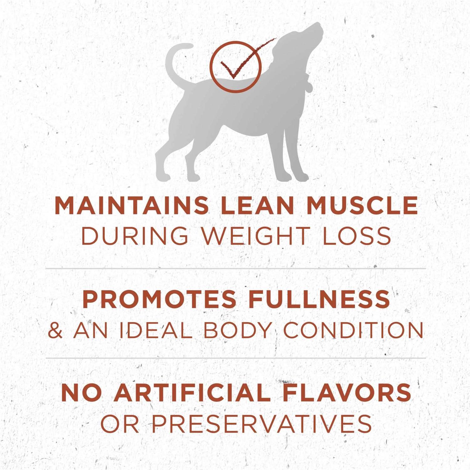 Healthy Weight High Protein Dry Dog Food L314