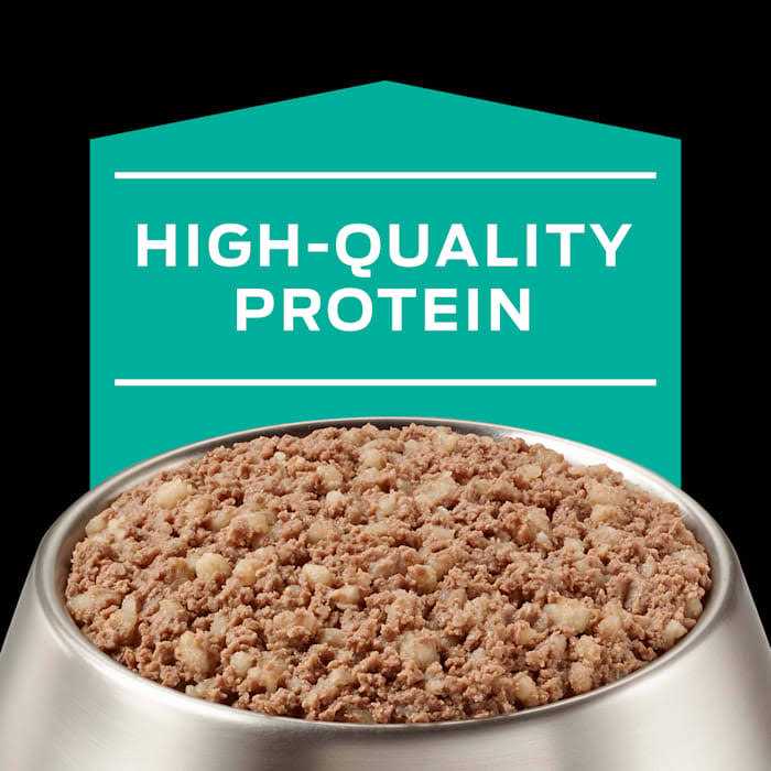 Gastroenteric Formula Canned Dog Food W236683