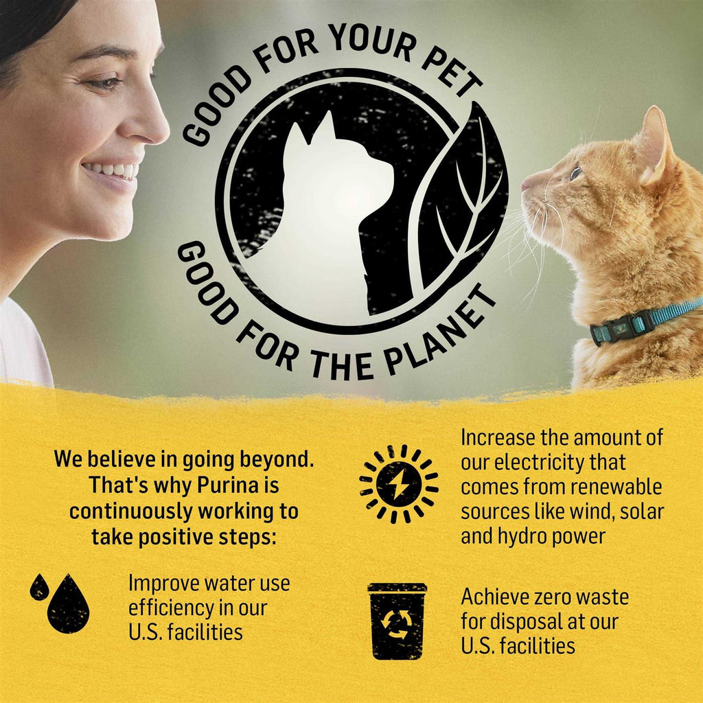 Cat Dry Food C236