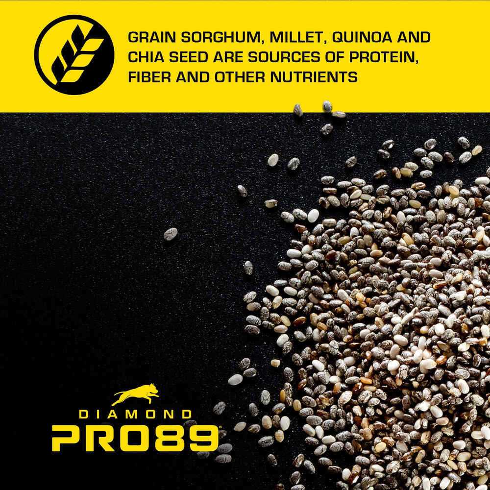 Adult Dog Food with Beef, Pork & Ancient Grains O298630