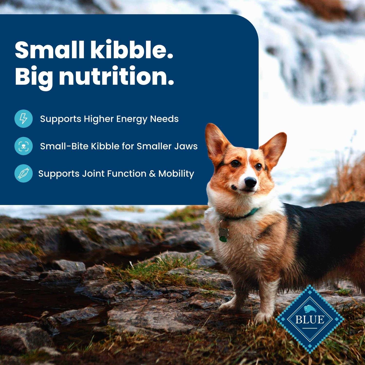 Small Breed Adult Lamb & Brown Rice Dry Dog Food L923841