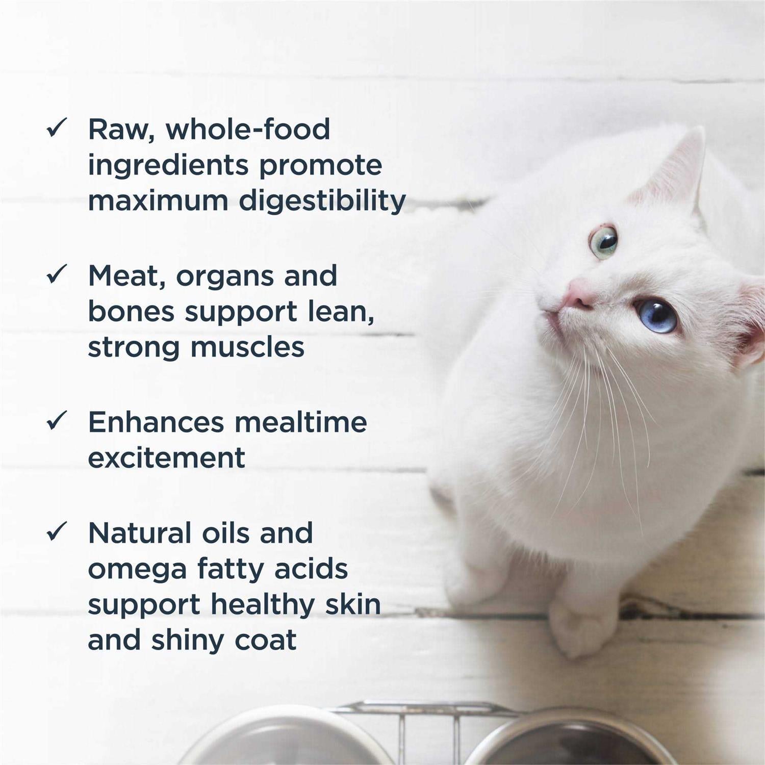 Raw Frozen Bites Cage Free Chicken Recipe Cat Food E388