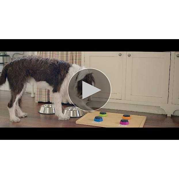 Real Beef Pea & Brown Rice Dry Dog Food G567