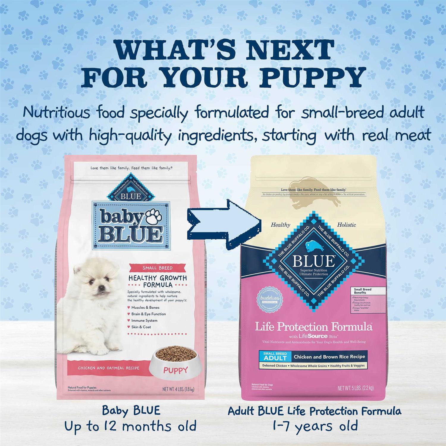 Natural Small Breed Puppy Dry Dog Food, Chicken and Oatmeal Rice Recipe A8655