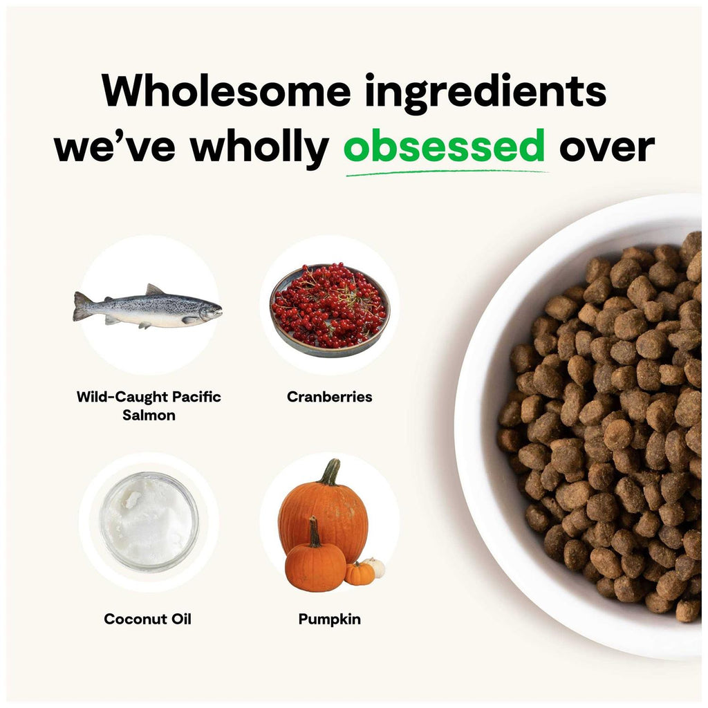 Grain-Free Wild-Caught Salmon Dry Dog Food T5846